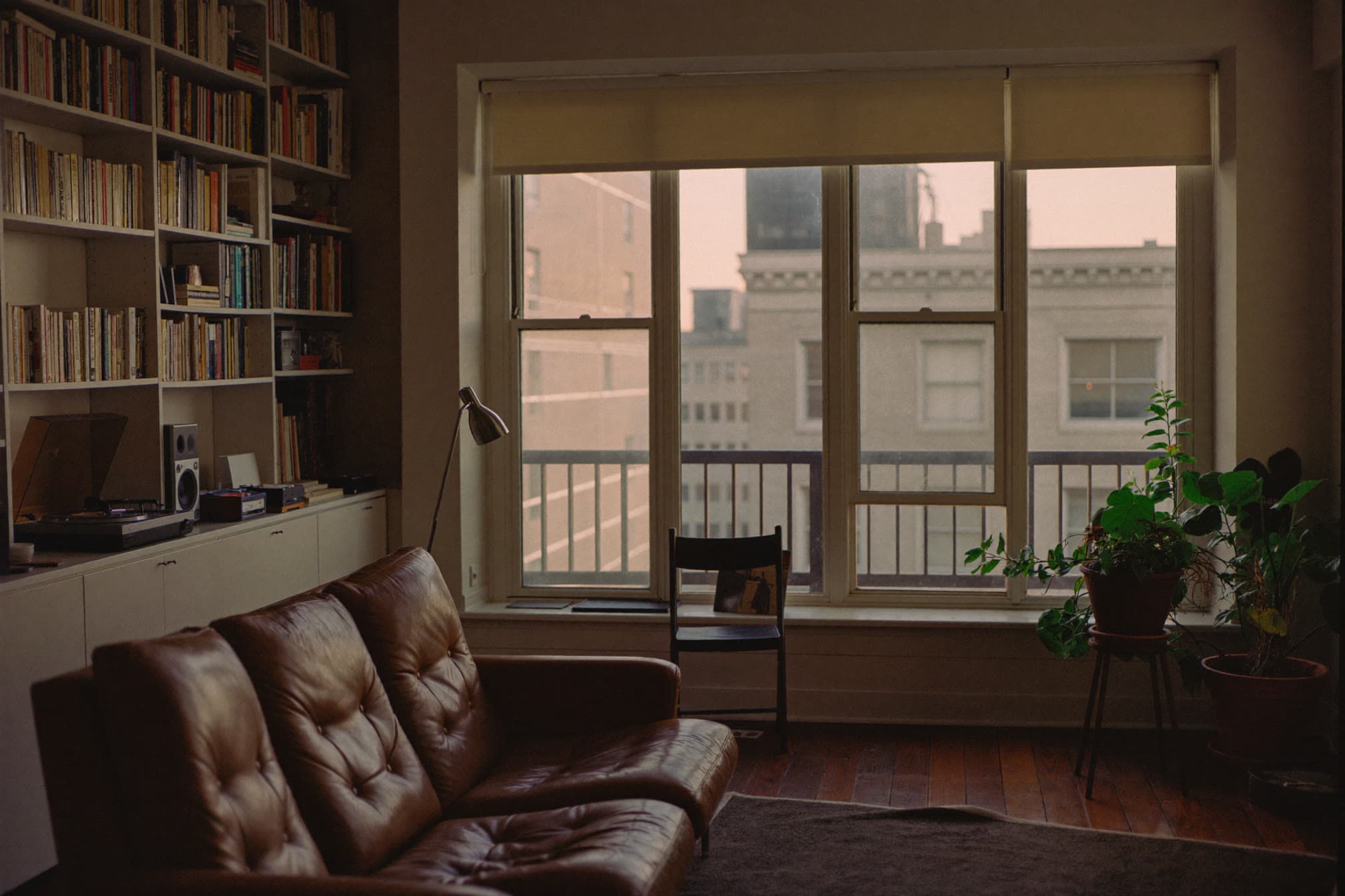 Sunlit apartment living room interior